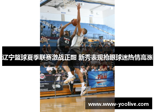 辽宁篮球夏季联赛激战正酣 新秀表现抢眼球迷热情高涨